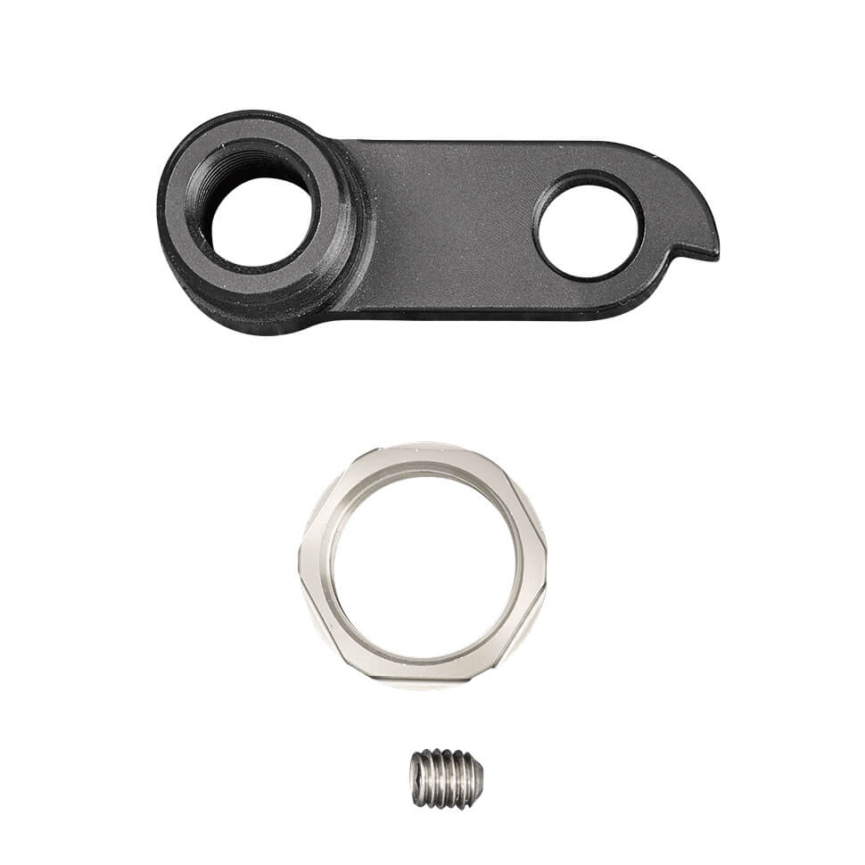 Santa Cruz Bicycles Spare Parts - Replacement Derailleur Hanger / Dropout