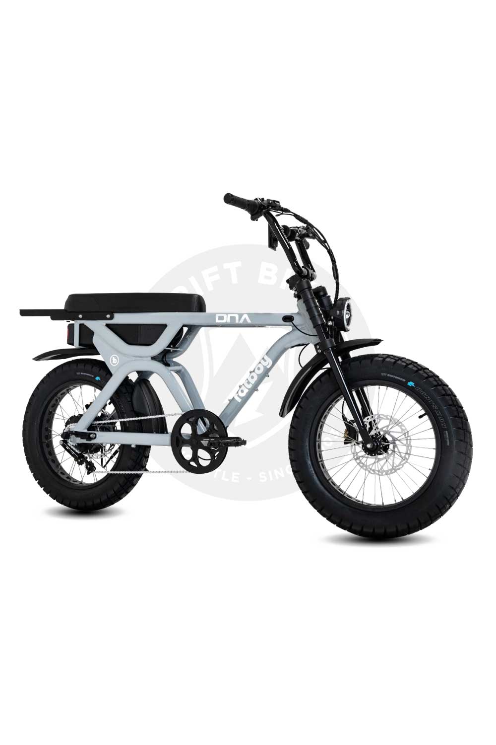 FATBOY THE DNA V3 Electric Bike - Pre order now (arrives mid January)
