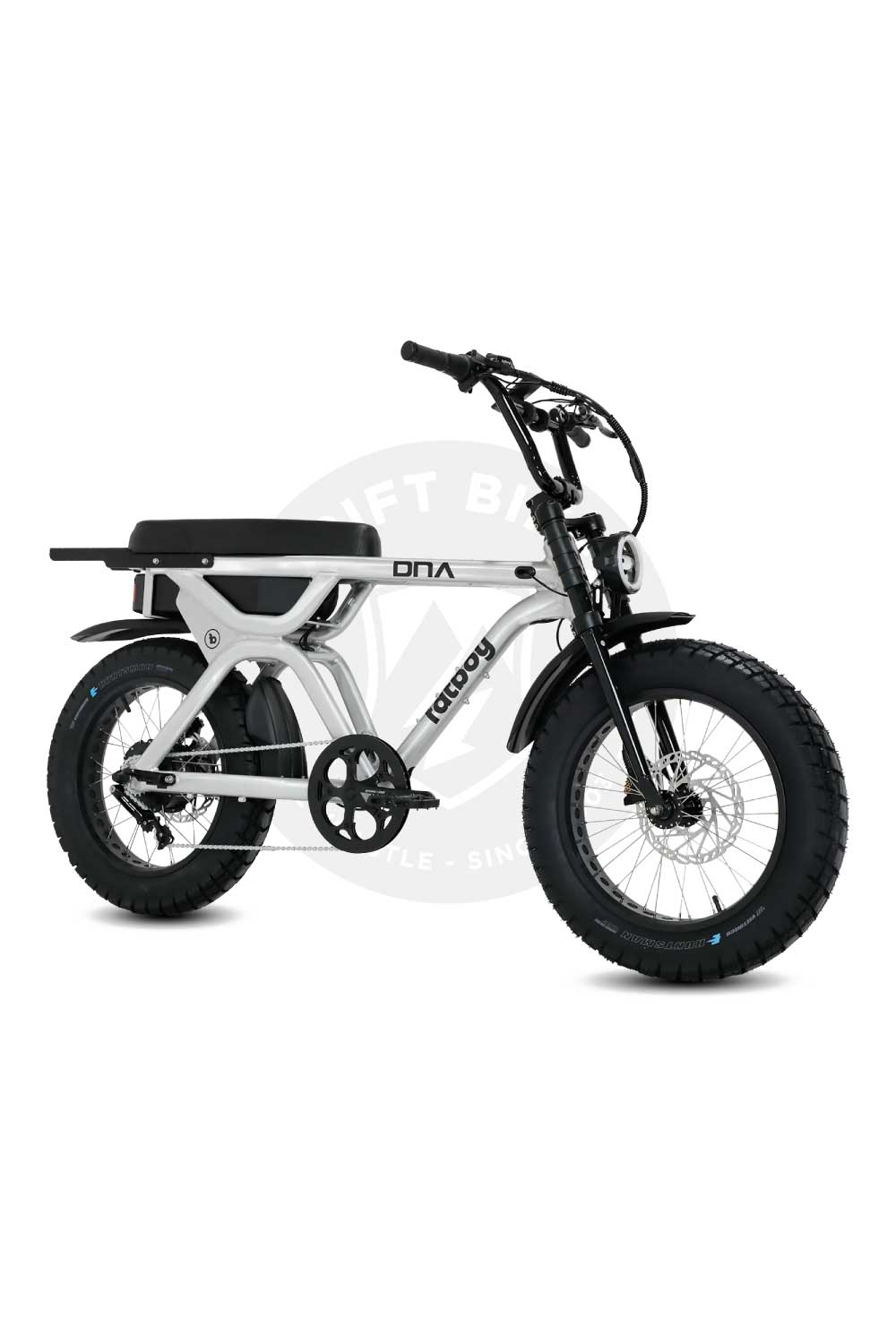 FATBOY THE DNA V3 Electric Bike - Pre order now (arrives mid January)