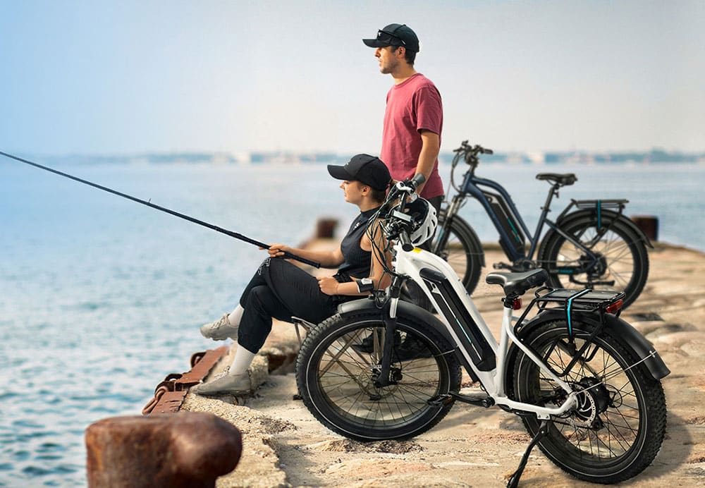 DIRODI VIVO Cruiser All terrain Fat Tyre Electric Bike