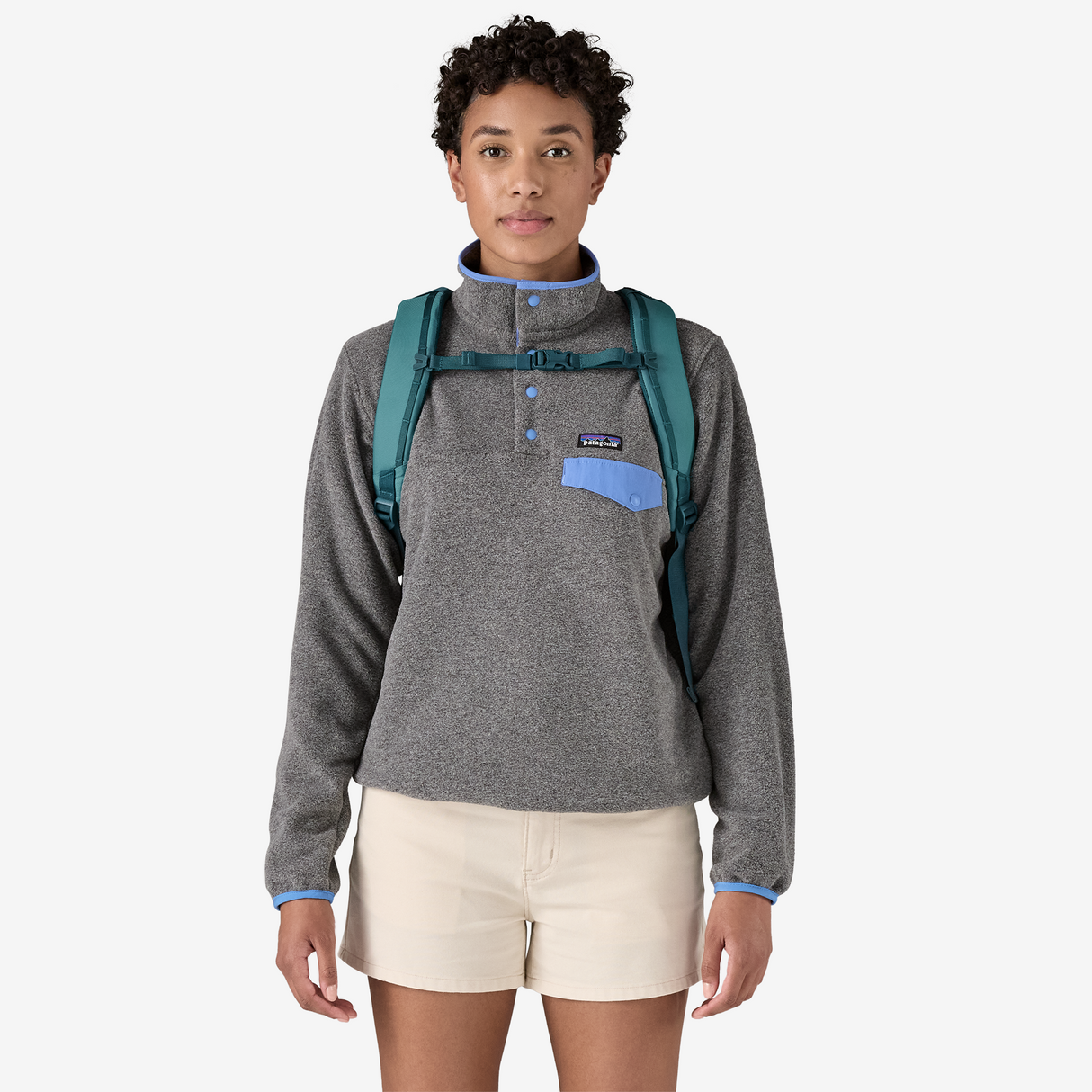 PATAGONIA Refugito Daypack 26L