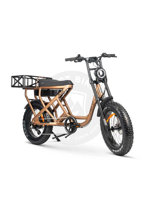 AMPD BROS ACE-S CARGO MAX ELECTRIC BIKE