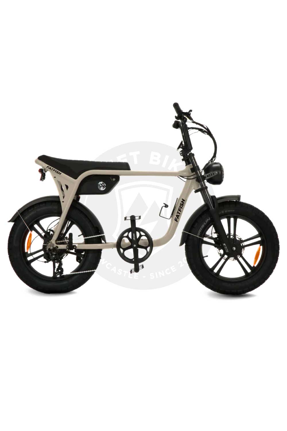 Fatfish OG 2.0 20AH Fat Tyre E-bike