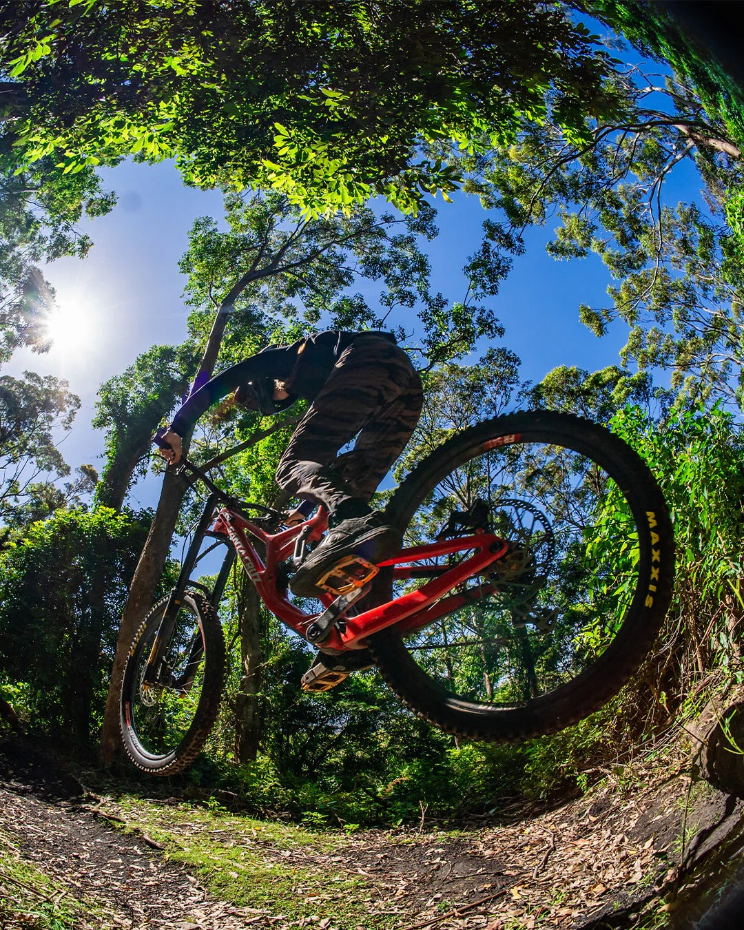 Dharco 2026 Youth Ather Pants