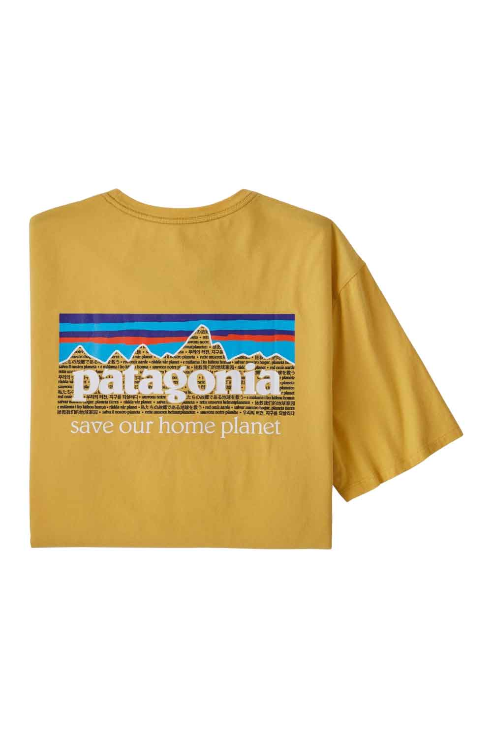 Patagonia Men's P-5 Mission Organic Shirt