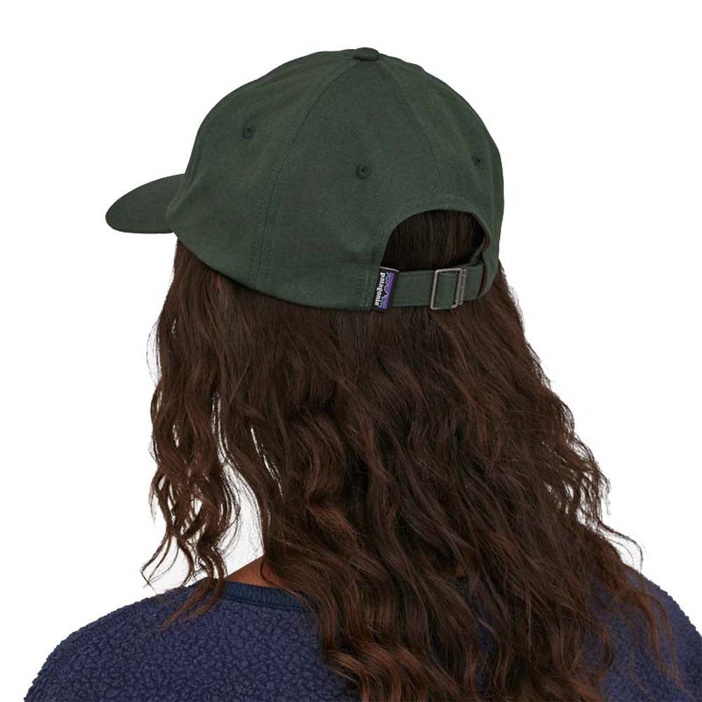 Patagonia P6 Label Trad Cap Hat