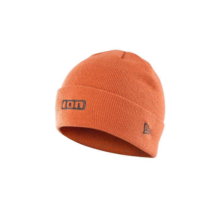 ION Logo Beanie
