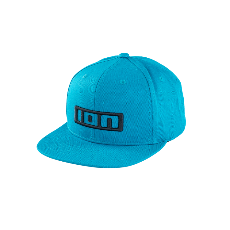 ION Logo Hat
