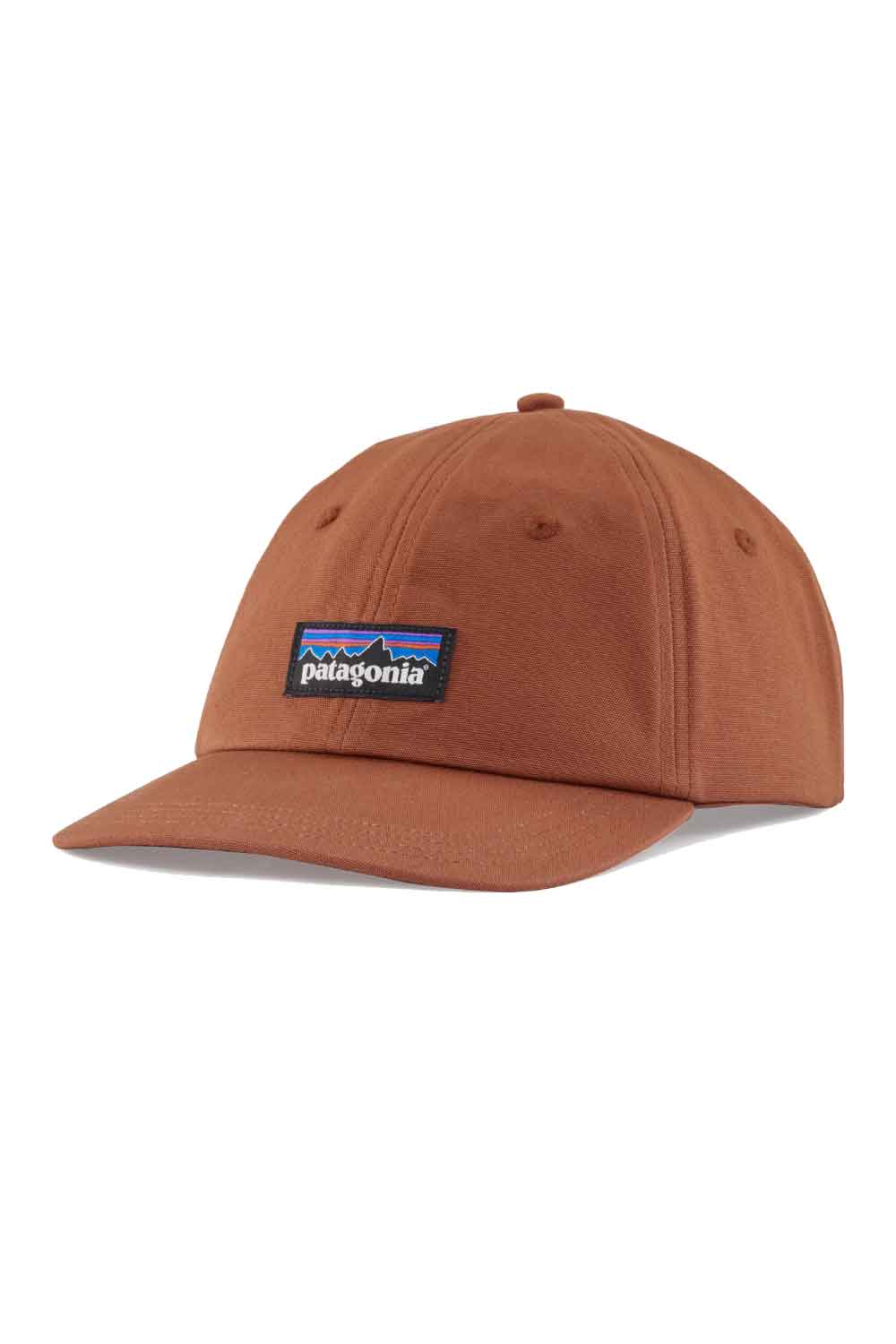 Patagonia P6 Label Trad Cap Hat
