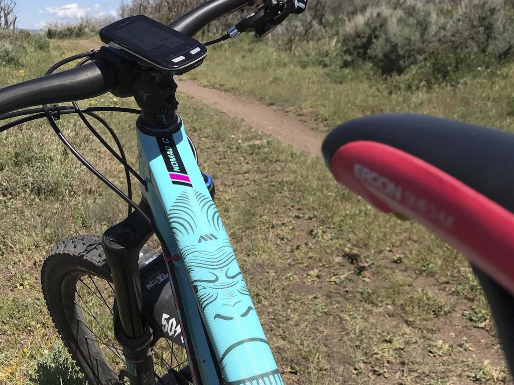 All Mountain Style AMS Frame Guard XL