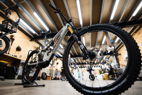 Meet the All-New AMFLOW PX Carbon & PX Carbon Pro