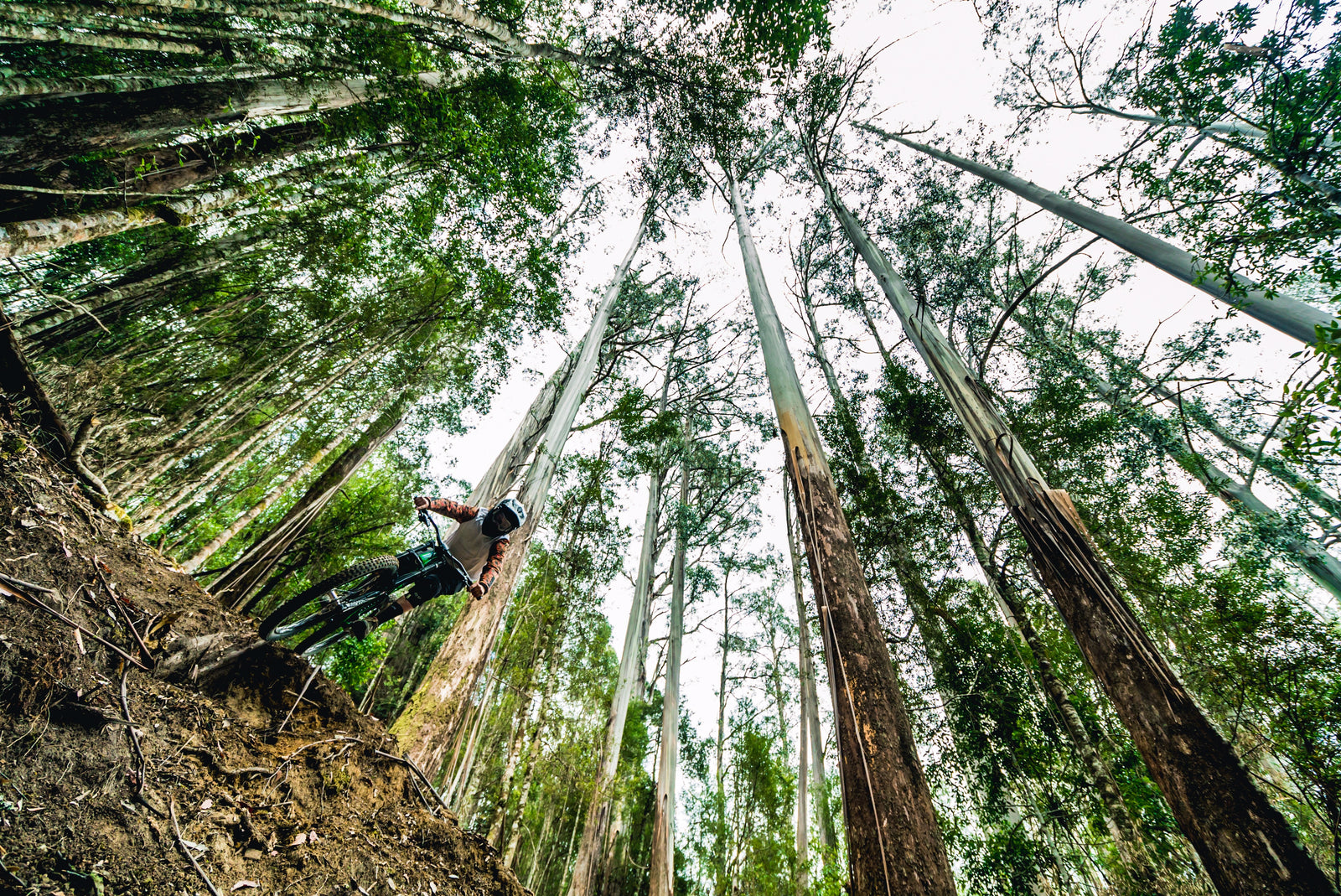 Ride Maydena Bike Park With Drift Bikes