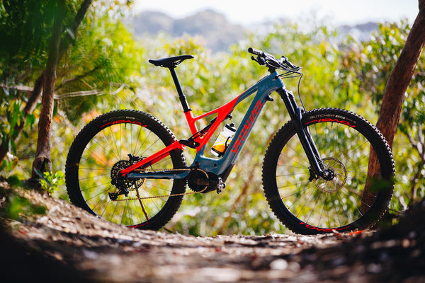 Hire a 2019 Specialized Levo!