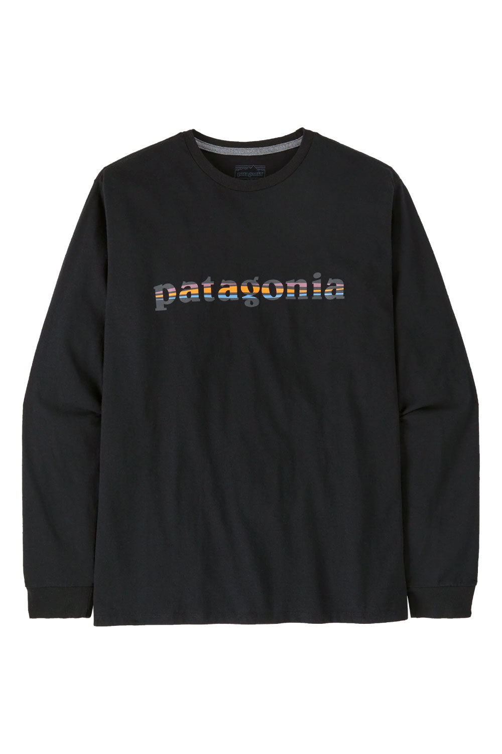 Patagonia Men's Long Sleeved '73 Text Logo RESPONSIBILI-TEE®