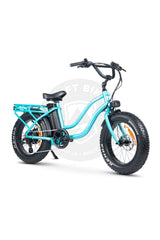AMPD Bros Stubbie-S Original S3 Fat Tyre Electric Cruiser Bike