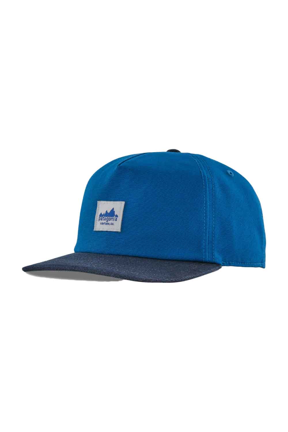 Patagonia Range Cap