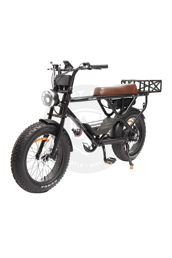 DIRODI Rover Electric Bike (250W-48V) Gen 3