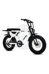FATBOY THE DNA V3 Electric Bike - Pre order now (arrives mid January)