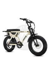 FATBOY THE DNA V3 Electric Bike - Pre order now (arrives mid January)