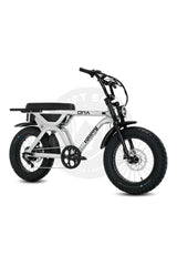FATBOY THE DNA V3 Electric Bike - Pre order now (arrives mid January)