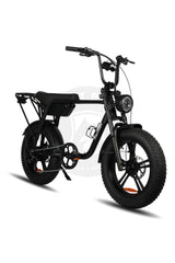 Fatfish Biggie Fat Tyre E-bike