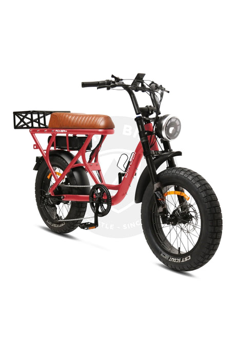 DIRODI Rover Plus Retro Electric Bike (750W-48V) Gen 4