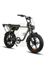 Fatfish Biggie Fat Tyre E-bike