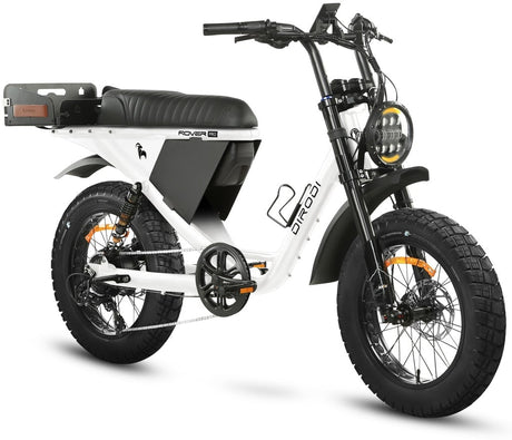 DIRODI Rover PRO Electric Bike (250-500W - 52v -20AH) PRE-ORDER NOW!