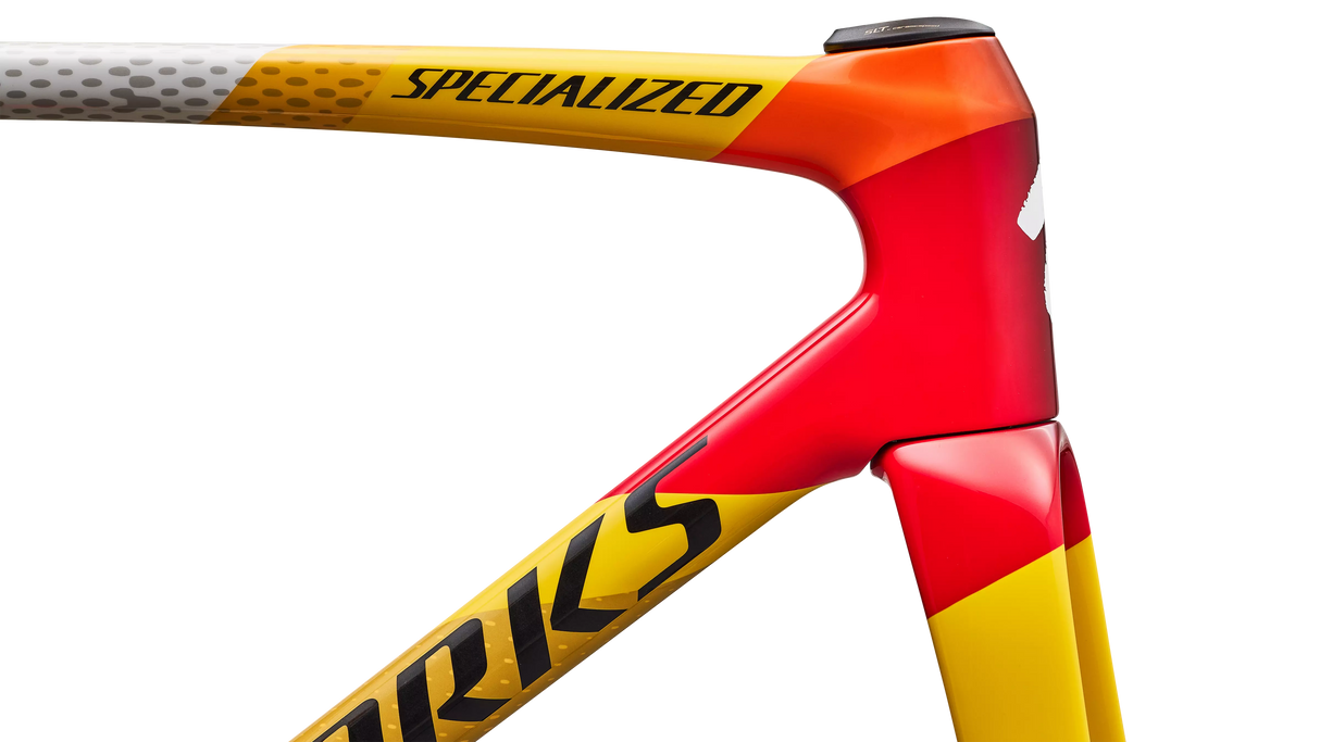 S-WORKS Tarmac SL9 Team Edition Replica Frameset