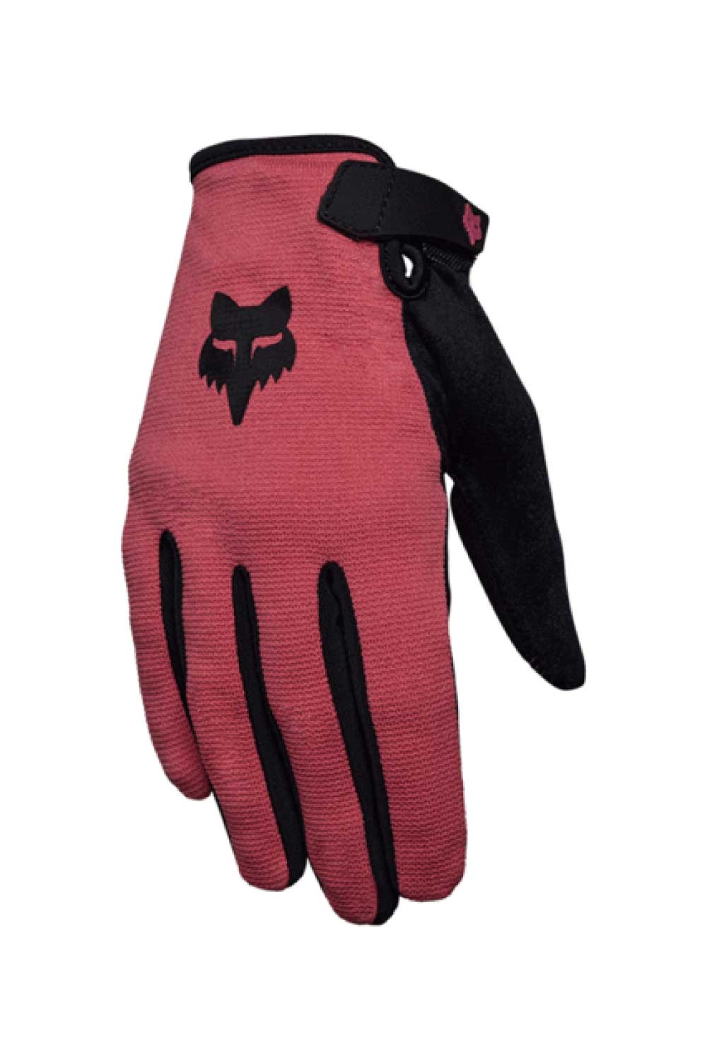 FOX RACING 2025 Womens Ranger Gloves