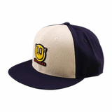 TROY LEE DESIGNS 26.1 FLAT BILL SNAP HAT HAPPY DAYZ