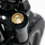 FATBOY THE HARLEM V3 Electric Bike - Pre order now (arrives mid January)