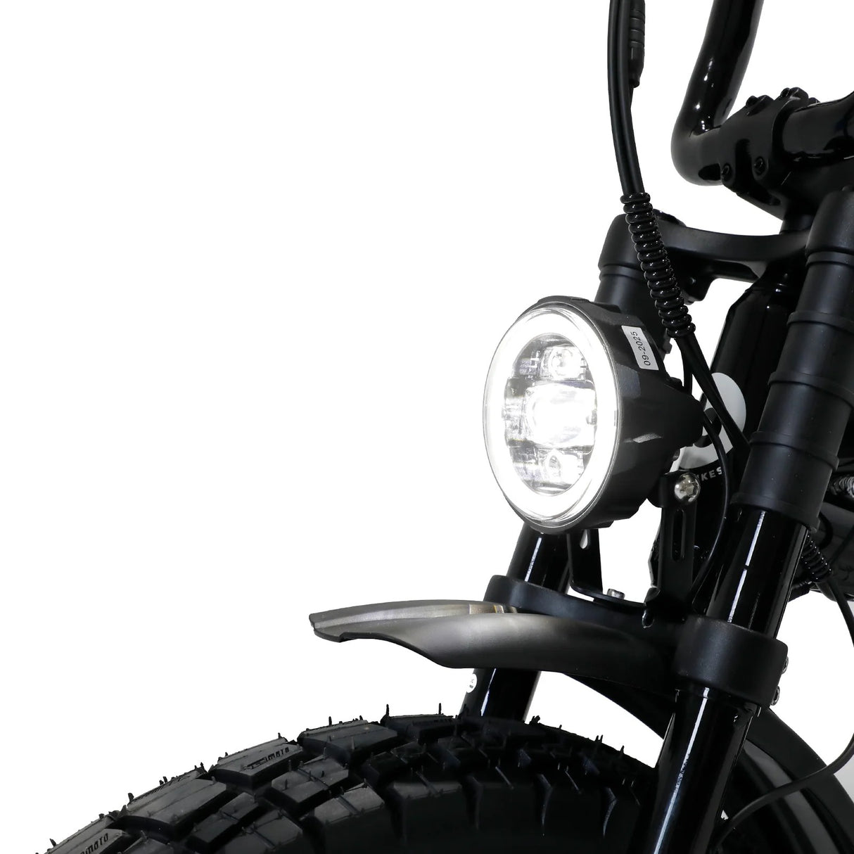 FATBOY THE DNA V3 Electric Bike - Pre order now (arrives mid January)