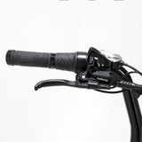 FATBOY THE HARLEM V3 Electric Bike - Pre order now (arrives mid January)