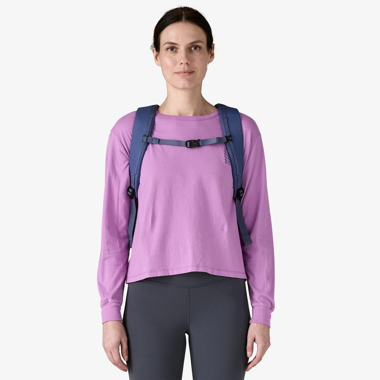 Patagonia Black Hole Pack 25L