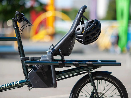 THULE YEPP NEXXT 2 MAXI FRAME MOUNT CHILD SEAT