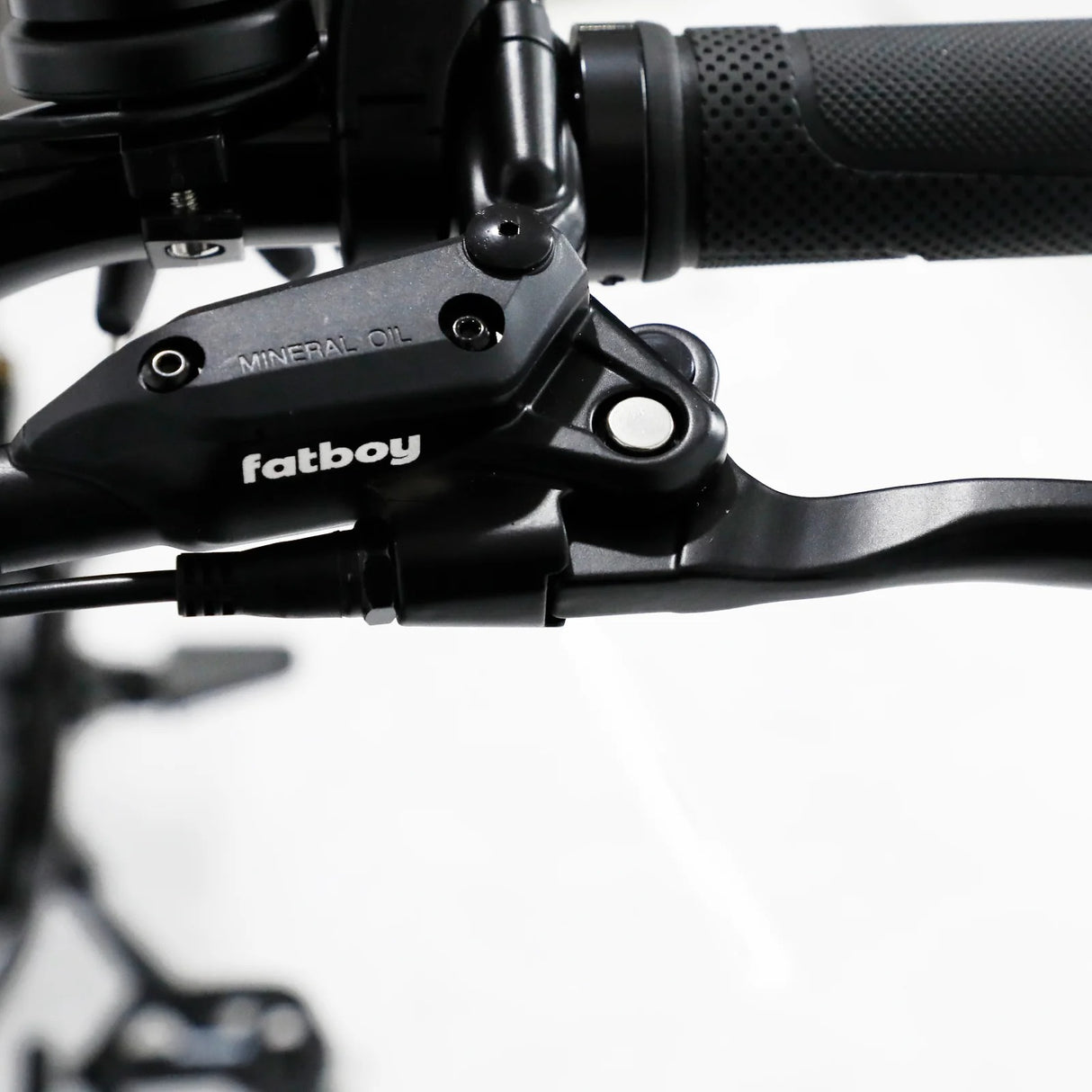 FATBOY THE BAGUS V3 Electric Bike - Pre order now (arrives mid January)