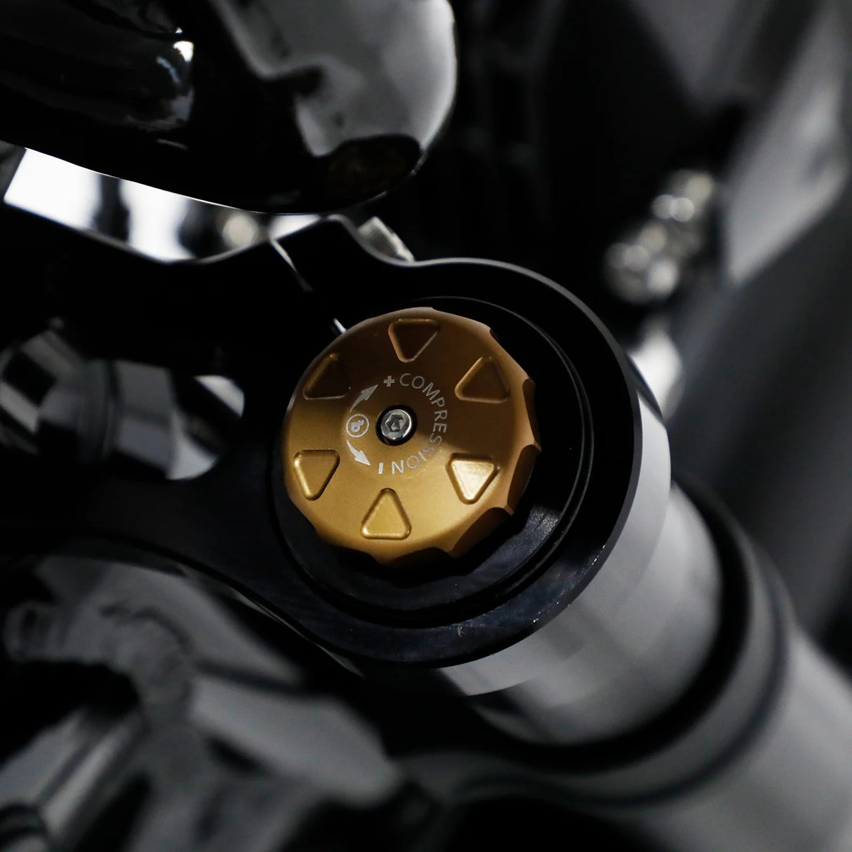 FATBOY THE HARLEM V3 Electric Bike - Pre order now (arrives mid January)