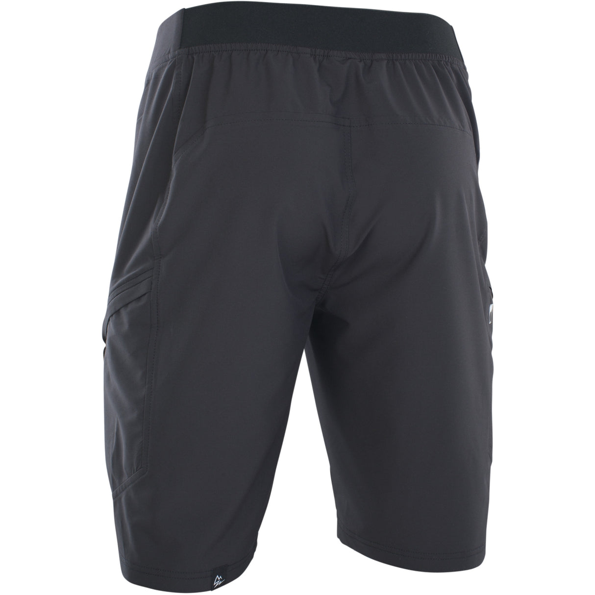 ION 2024 VNTR AMP Shorts