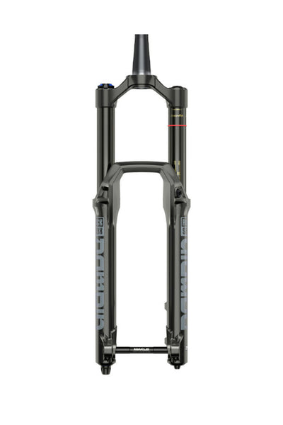 RockShox Domain  フォーク 29 160mm ストローク RockShox Domain Gold Fork C1 - Isolator RC3 - 29