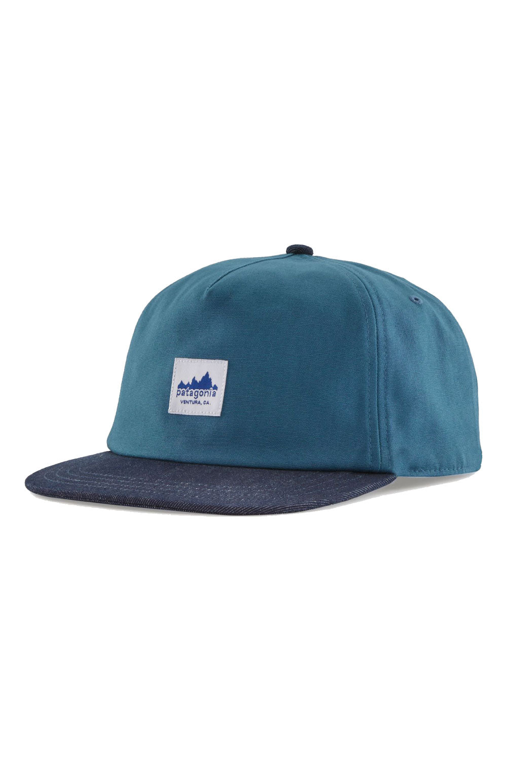 Patagonia Range Cap