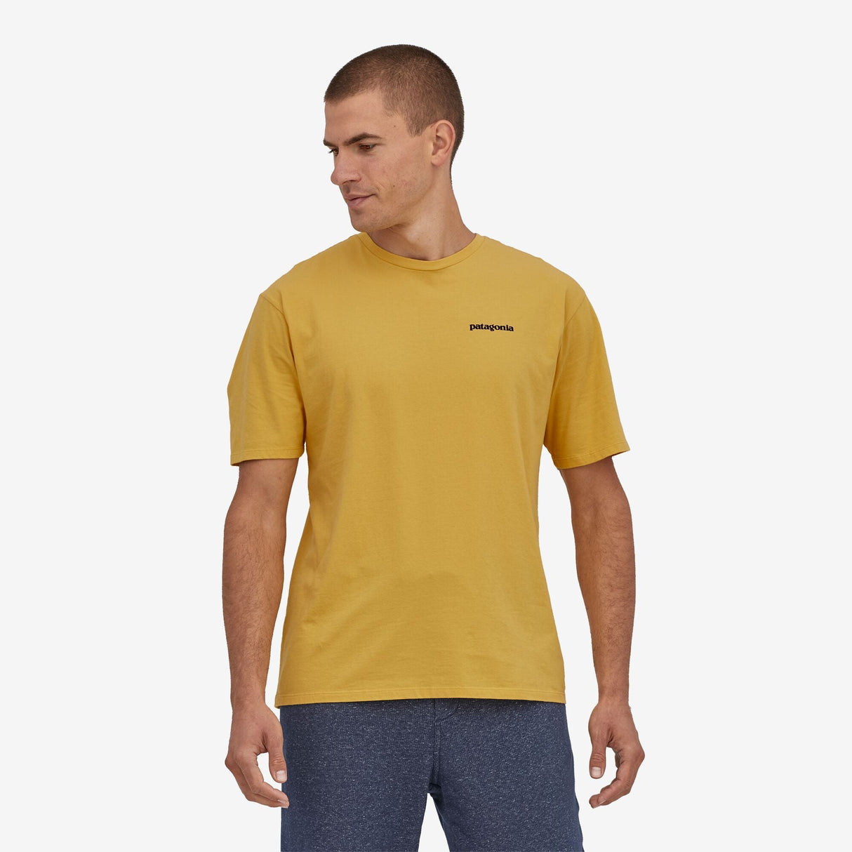 Patagonia Men's P-5 Mission Organic Shirt