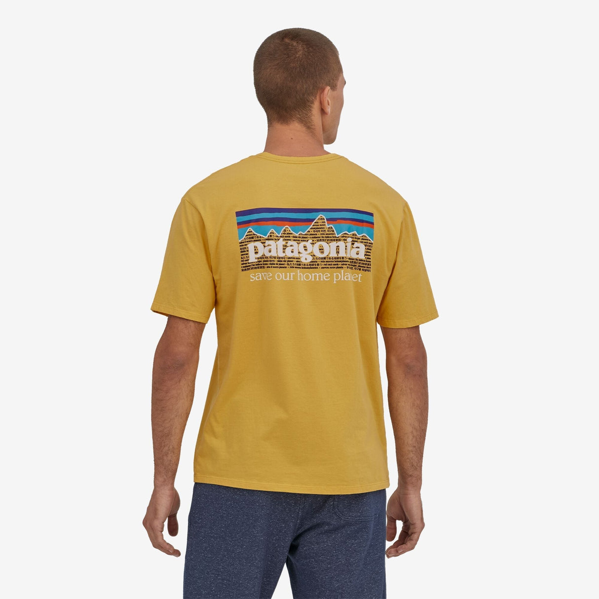 Patagonia Men's P-5 Mission Organic Shirt