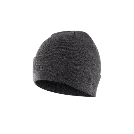 ION Logo Beanie