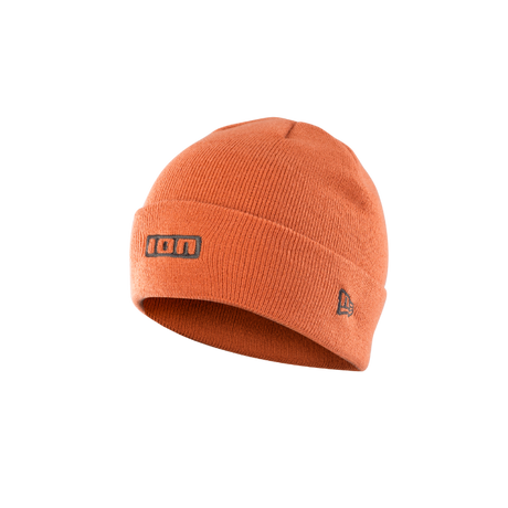 ION Logo Beanie